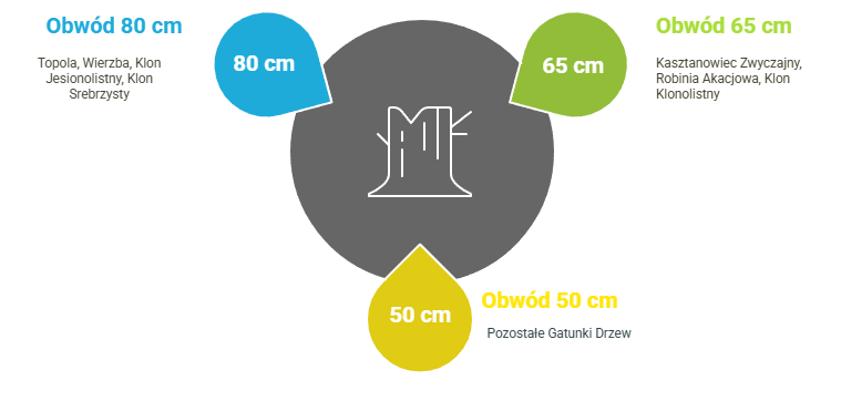 Jakie drzewa można wyciąć bez zezwolenia