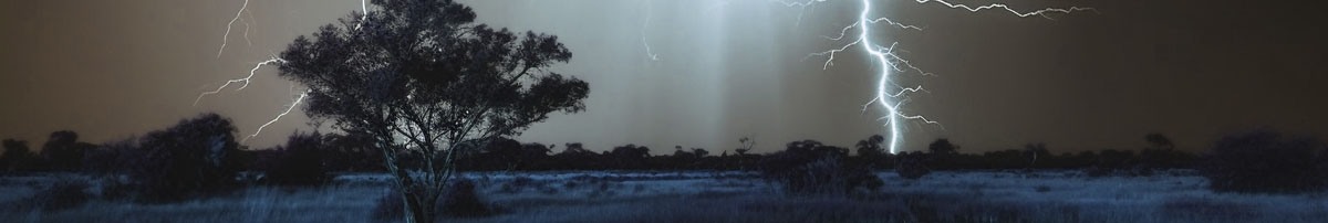 Wycinka drew Warszawa - uderzenie piorunem