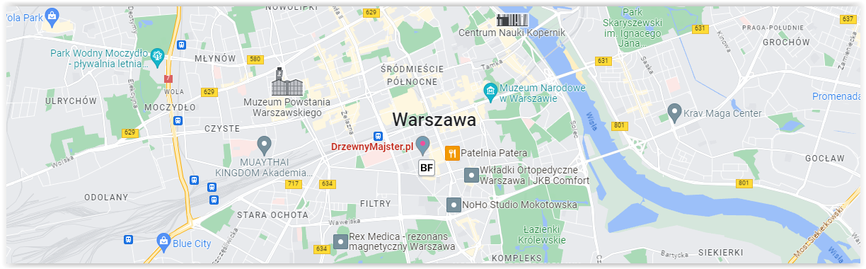 Profesjonalna Wycinka Drzew Warszawa