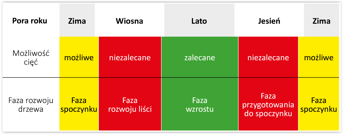 najlepsza pora na przycinanie drzewa